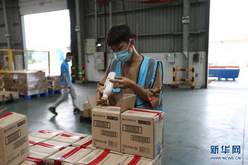 開放不息，海淘不止 疫情防控常態化下的廣州對外開放與海淘物流之路